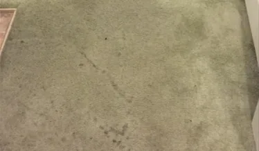 Dirty carpet before cleaning